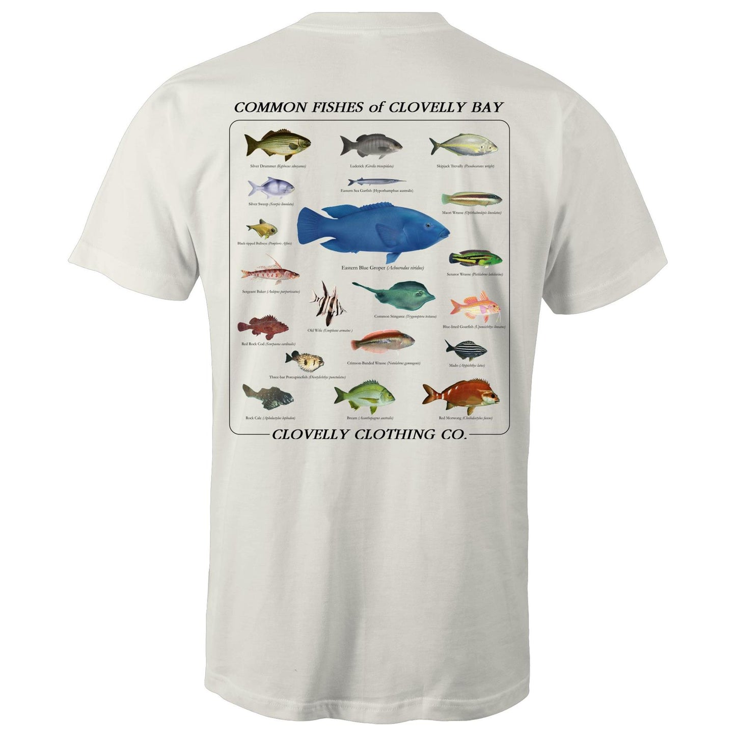 Clovelly Fish Finder Print Tee
