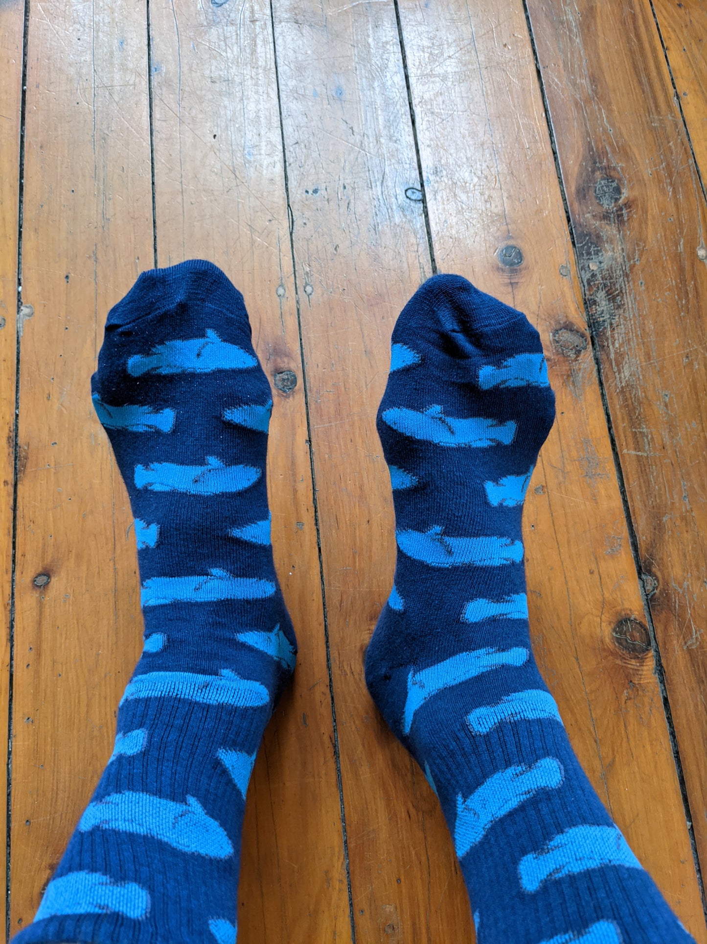 Grouper Socks