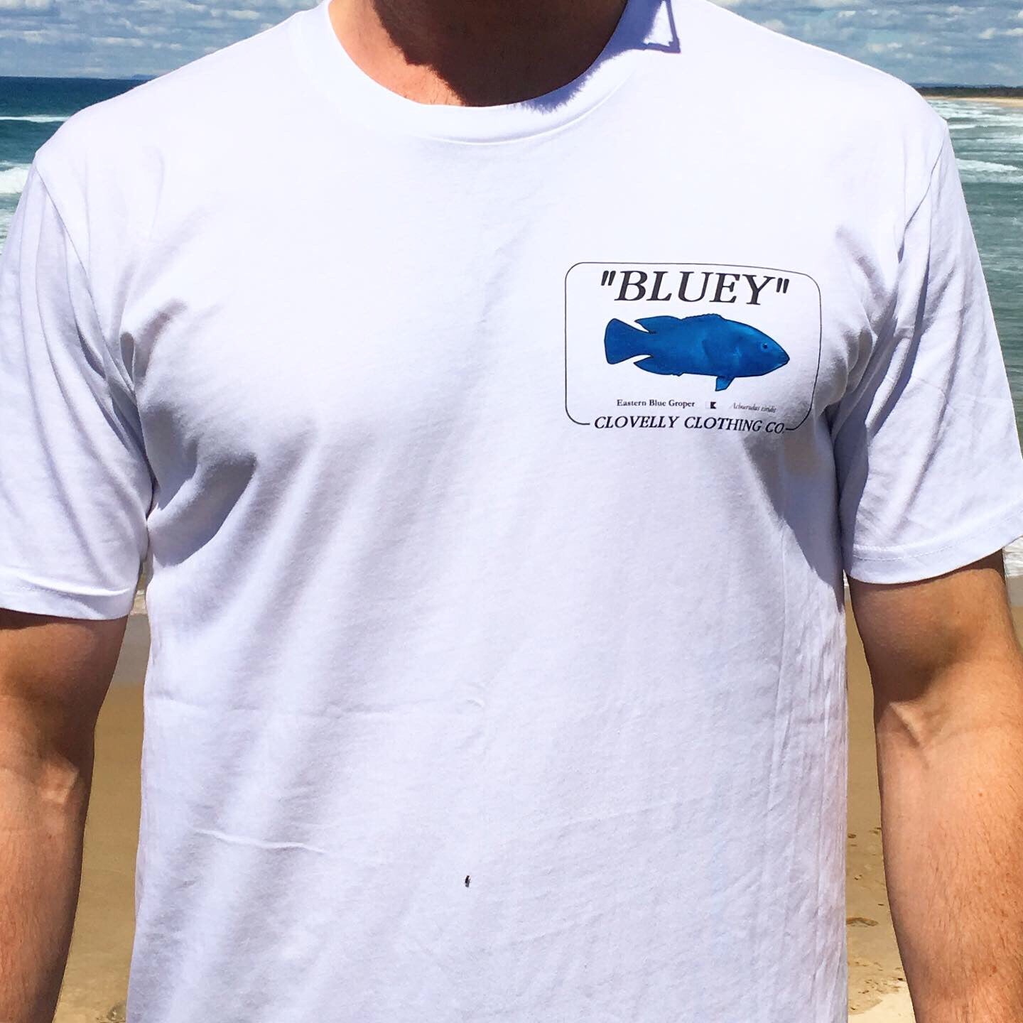 BLUEY Lithograph Print Tee